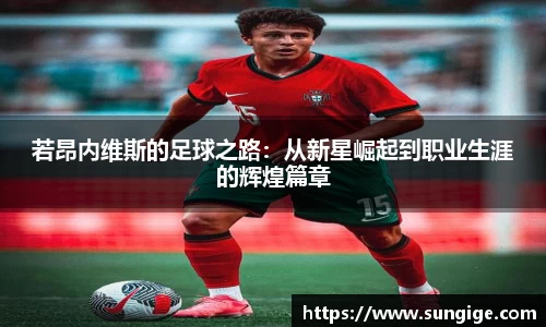 若昂内维斯的足球之路：从新星崛起到职业生涯的辉煌篇章