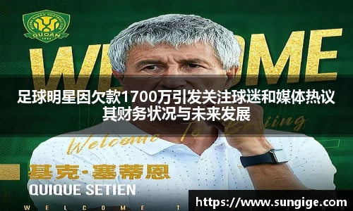 足球明星因欠款1700万引发关注球迷和媒体热议其财务状况与未来发展
