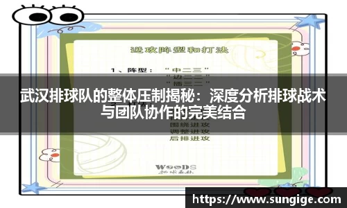 武汉排球队的整体压制揭秘：深度分析排球战术与团队协作的完美结合