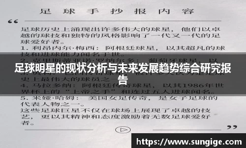 足球明星的现状分析与未来发展趋势综合研究报告